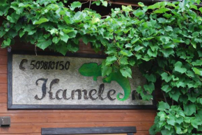 Kameleon Dźwirzyno in Dzwirzyno